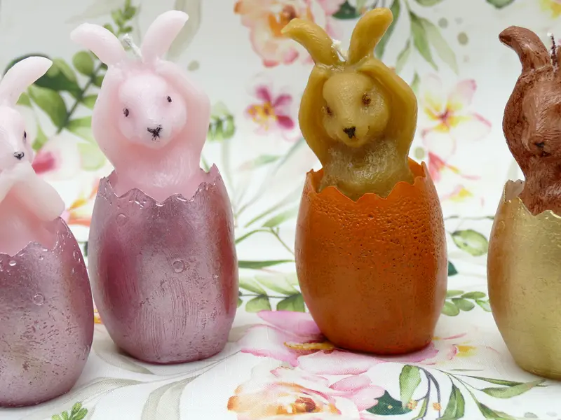 Hase